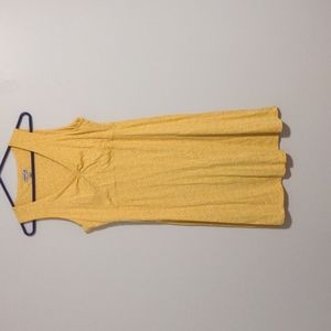 Toad & co Rosemarie sleeveless dress